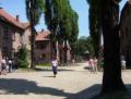 Osviecim/100_1924.JPG