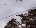prehliadka/100_2523.JPG